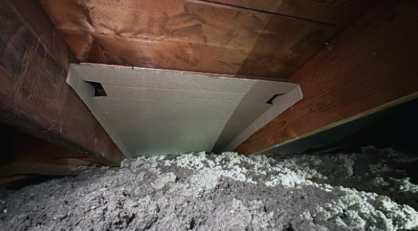 SOUTHEAST ENERGY SOLUTIONS INC SES543016P