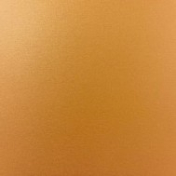  Coated Metals Group PTSTLCPRPEN