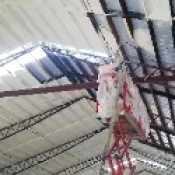 Firestable Insulation Company FS 2.0C